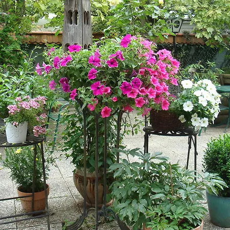 Landgasthof Friedl イン